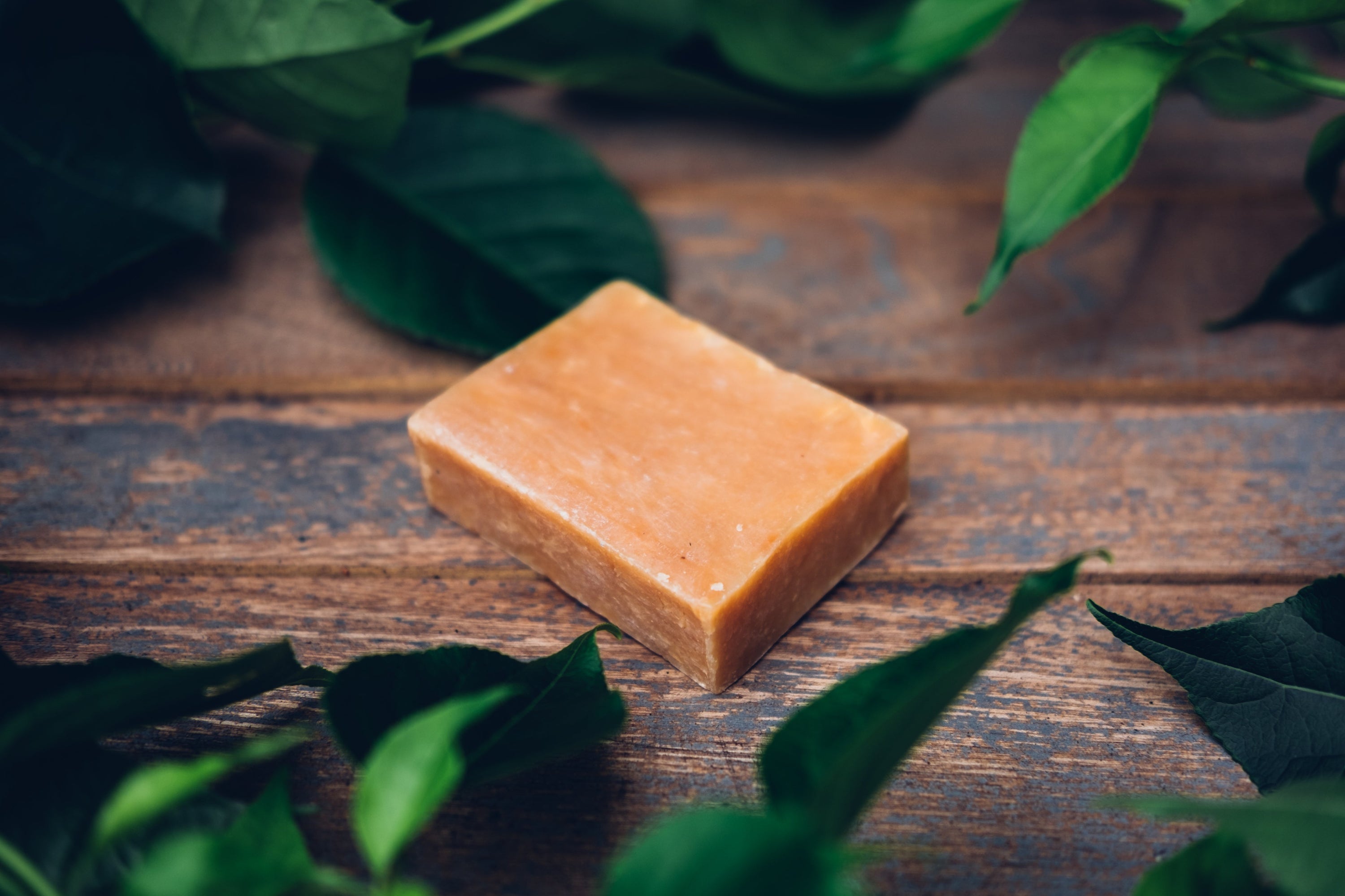 MY JOURNEY TO COCONUT PARADISE BAR SOAP